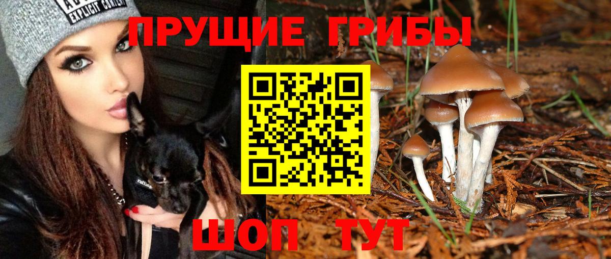 Галлюциногенные грибы мицелий Рославль